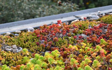 the cost of Thorpe Latimer green roof installation