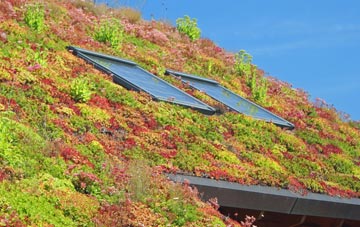 Thorpe Latimer living roof systems
